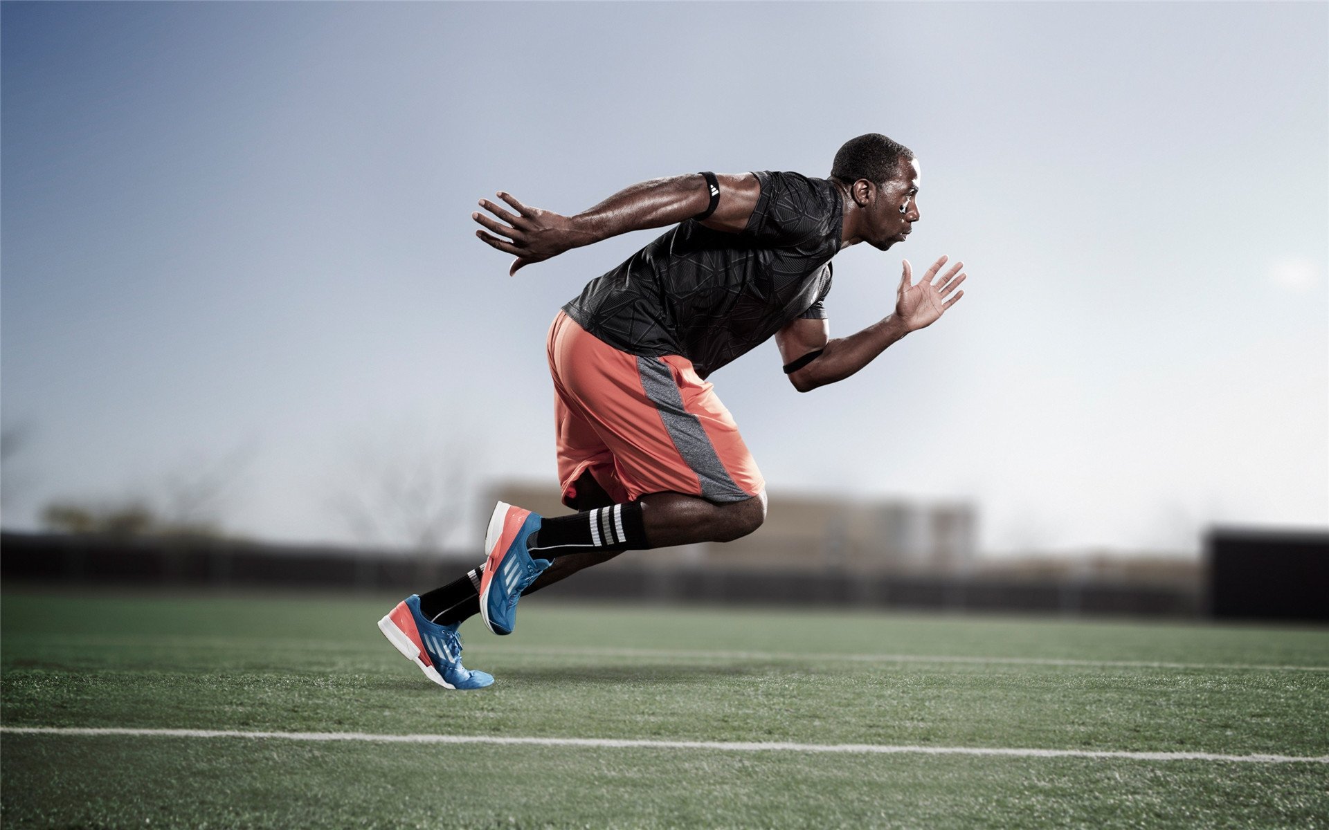 世界游泳明星选手排名更新，著名游泳选手